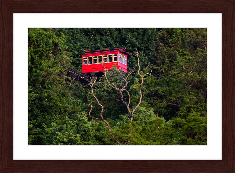 Duquesne Incline Descends Down Mt. Washington - Framed Print