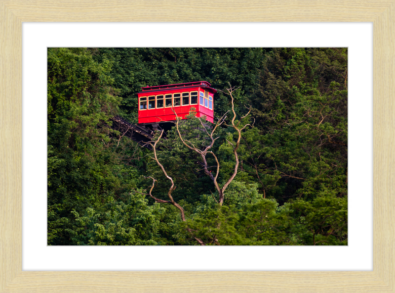 Duquesne Incline Descends Down Mt. Washington - Framed Print