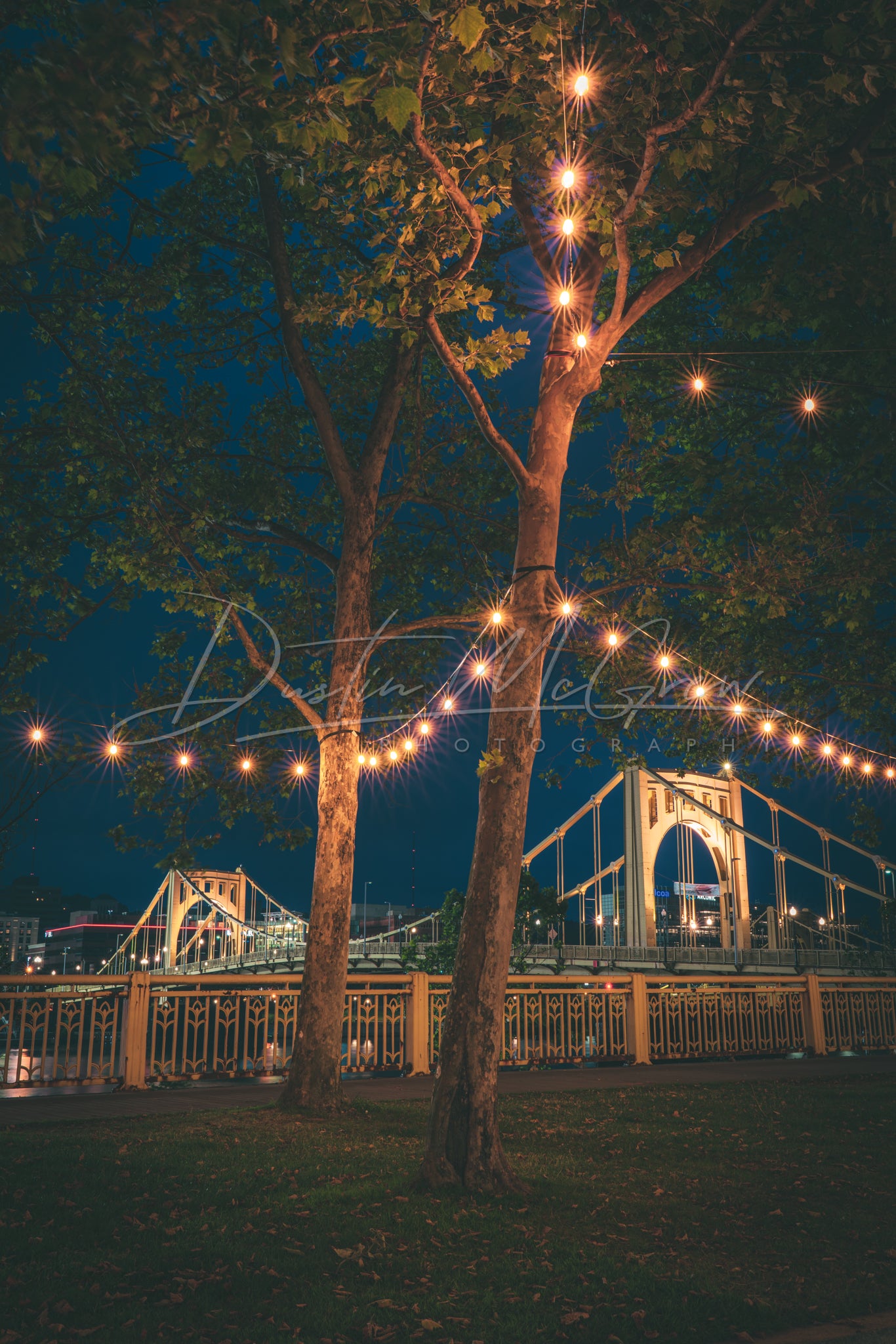 Pittsburgh Photo Print - Roberto Clemente Bridge Framed with Lights - Pittsburgh Metal Prints - Pittsburgh Canvas Prints