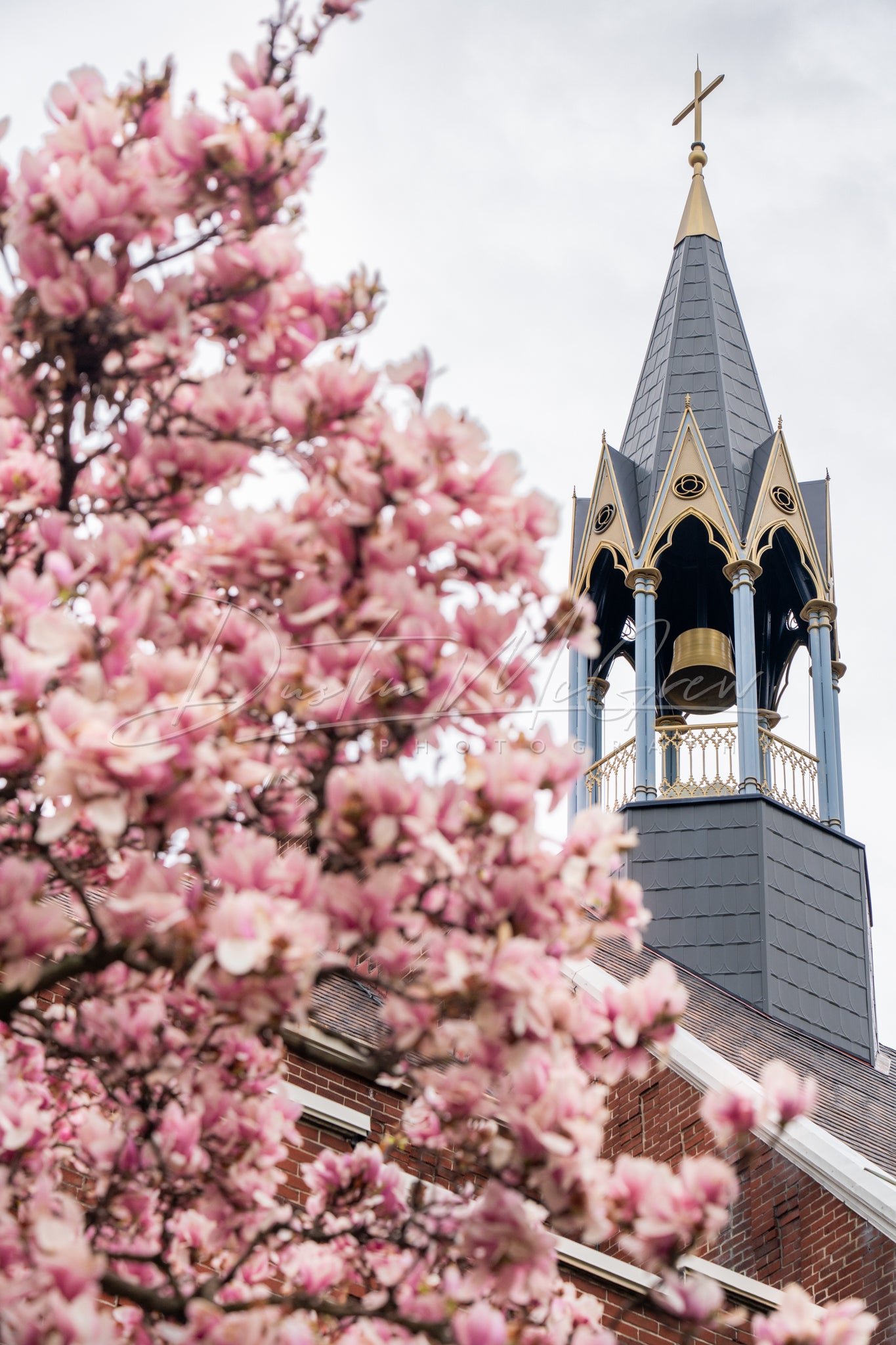 Magnolia Blossoms and Old Main at Duquesne University