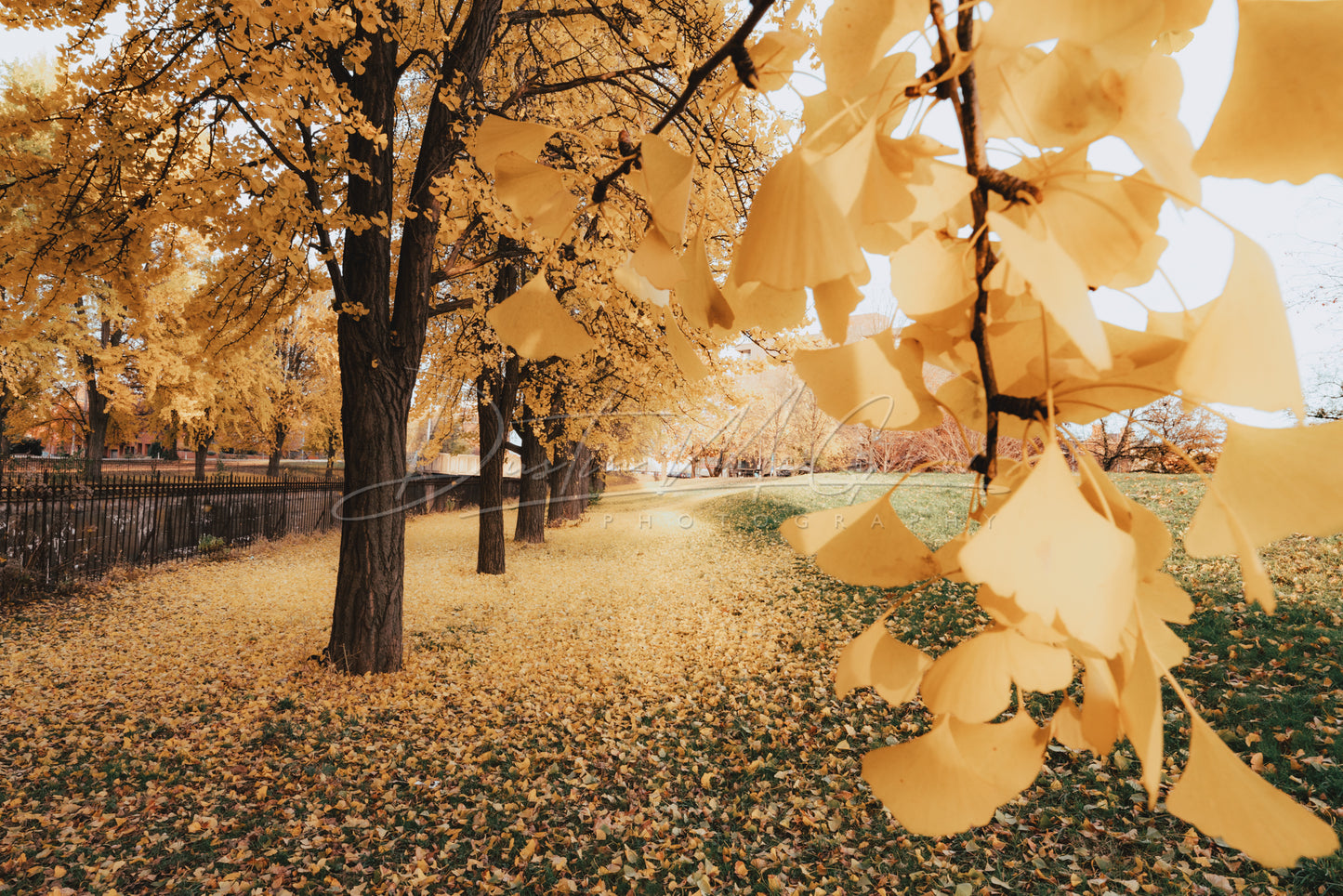 Photo of Allegheny Commons Park in Pittsburgh, PA