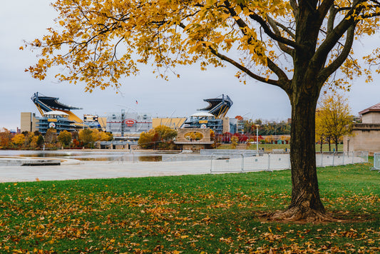 Heinz Field (Acrisure Stadium) Framed by a Tree on a Fall Day