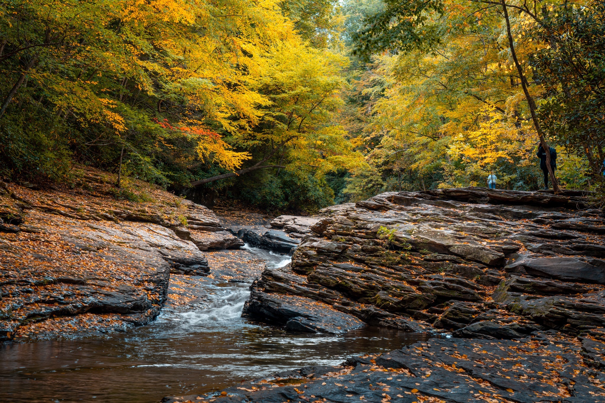 Ohiopyle