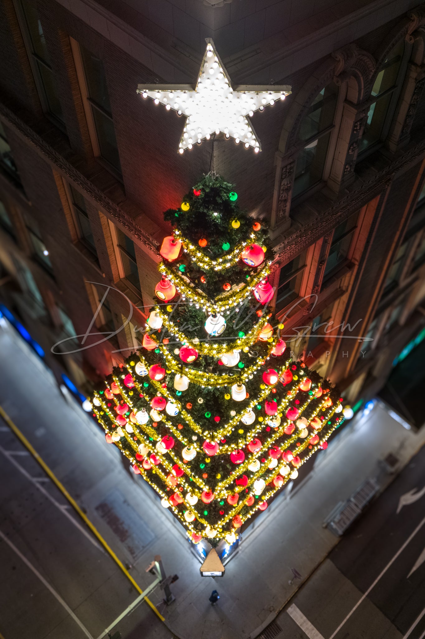 Aerial View of the Horne's Christmas Tree