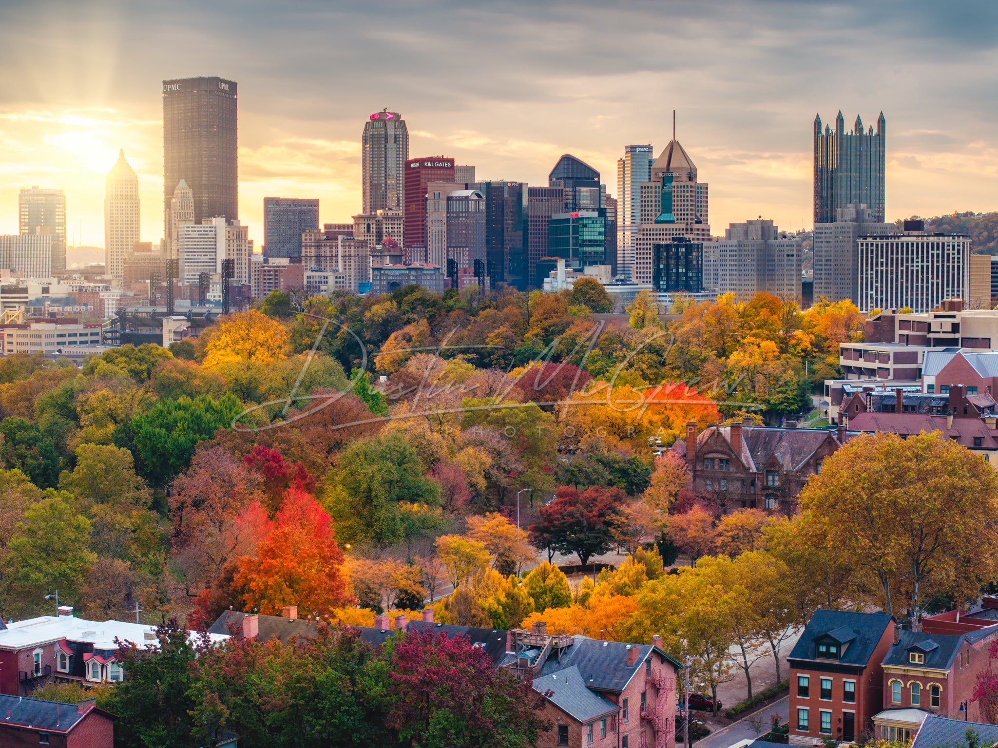 Colorful Trees on Pittsburgh's North Side
