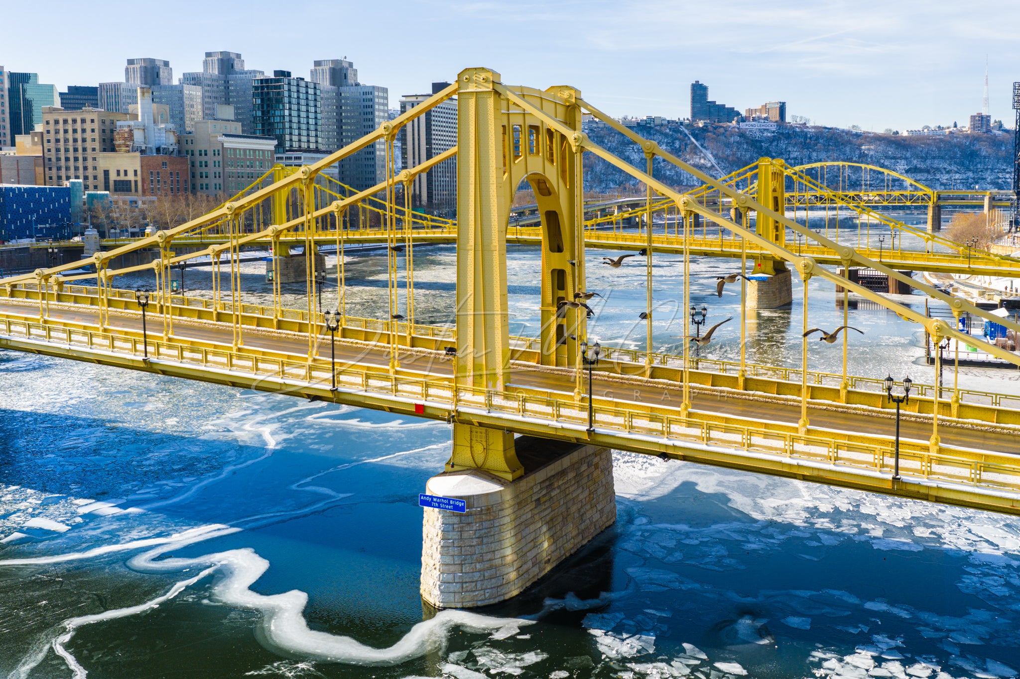 Andy Warhol Bridge and Flock of Geese