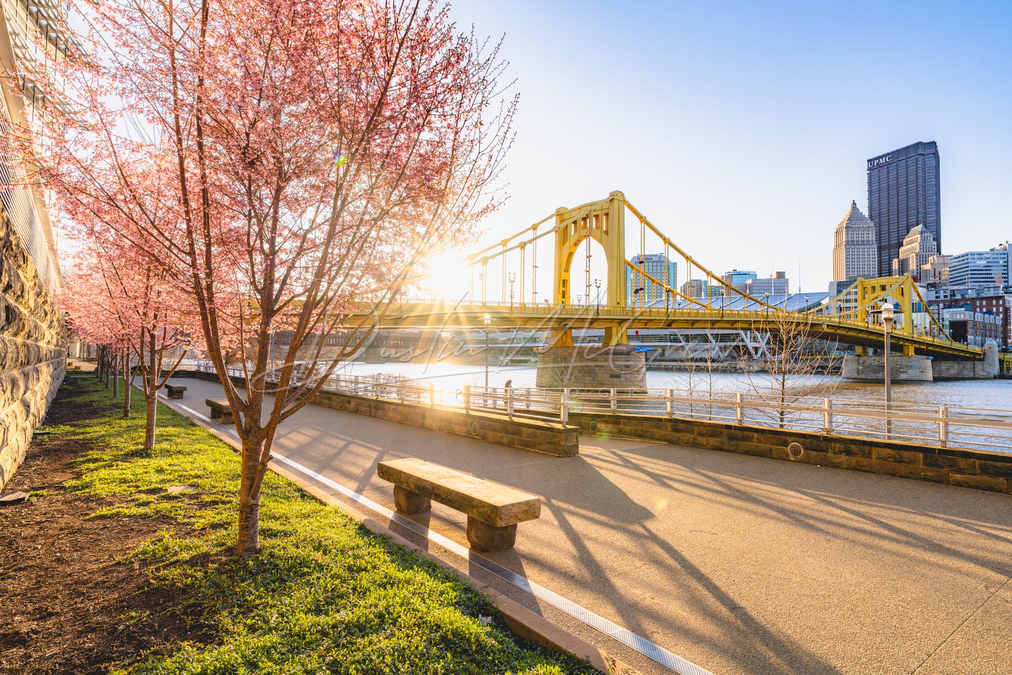 North Shore Blossoms and the Carson Bridge at Sunrise