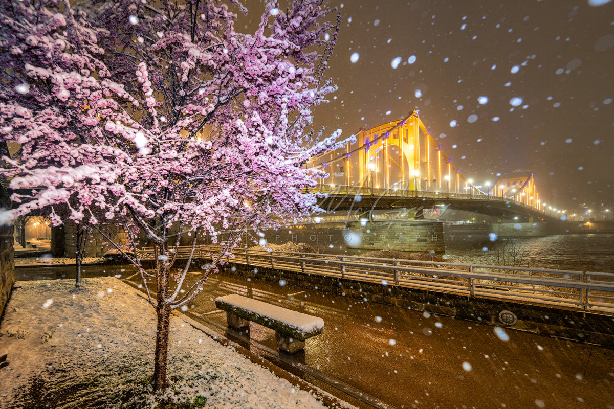 Spring In Pittsburgh Pittsburgh Springtime Photos – Dustin McGrew Photography