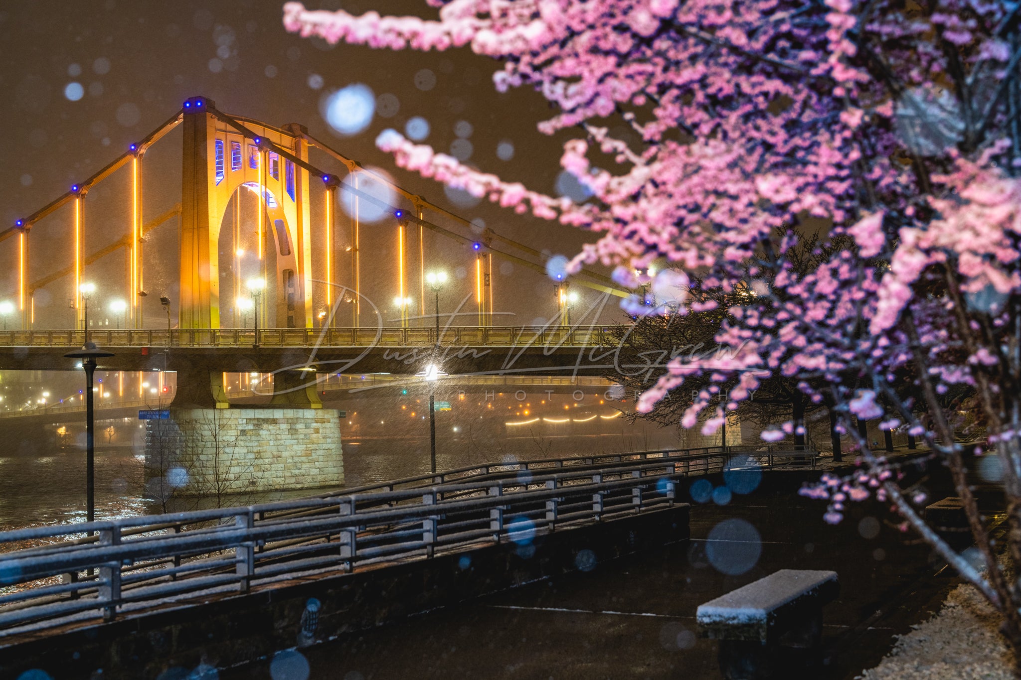 Snowy Blossoms and the Warhol Bridge