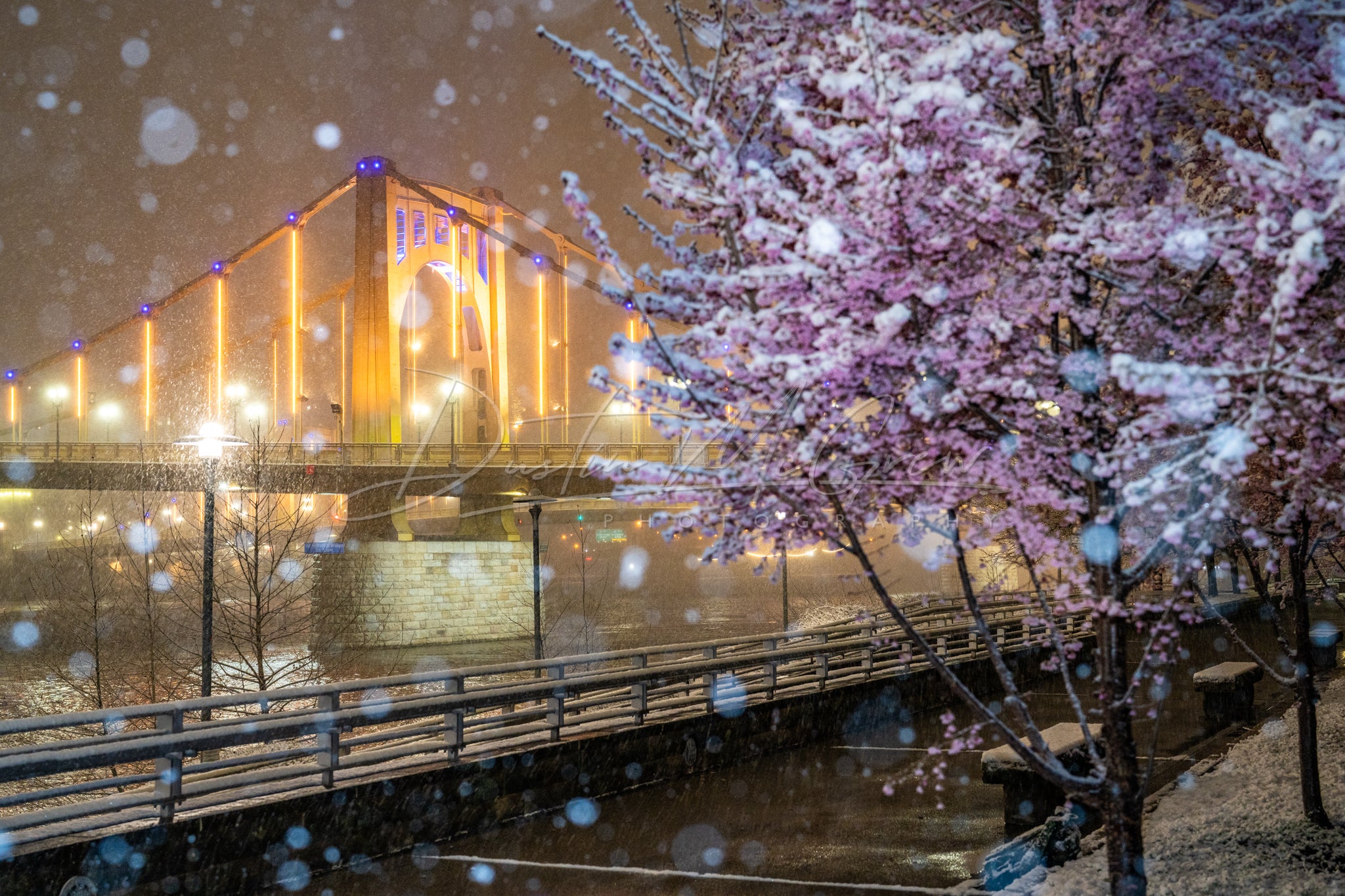Snow-covered Blossoms and the Warhol Bridge