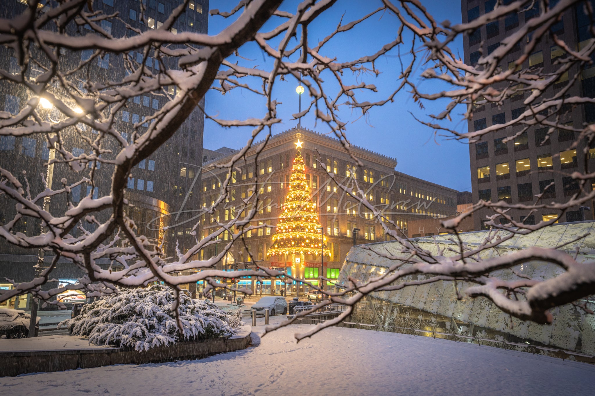 Snow-covered Trees Frame the Horne's Christmas Tree