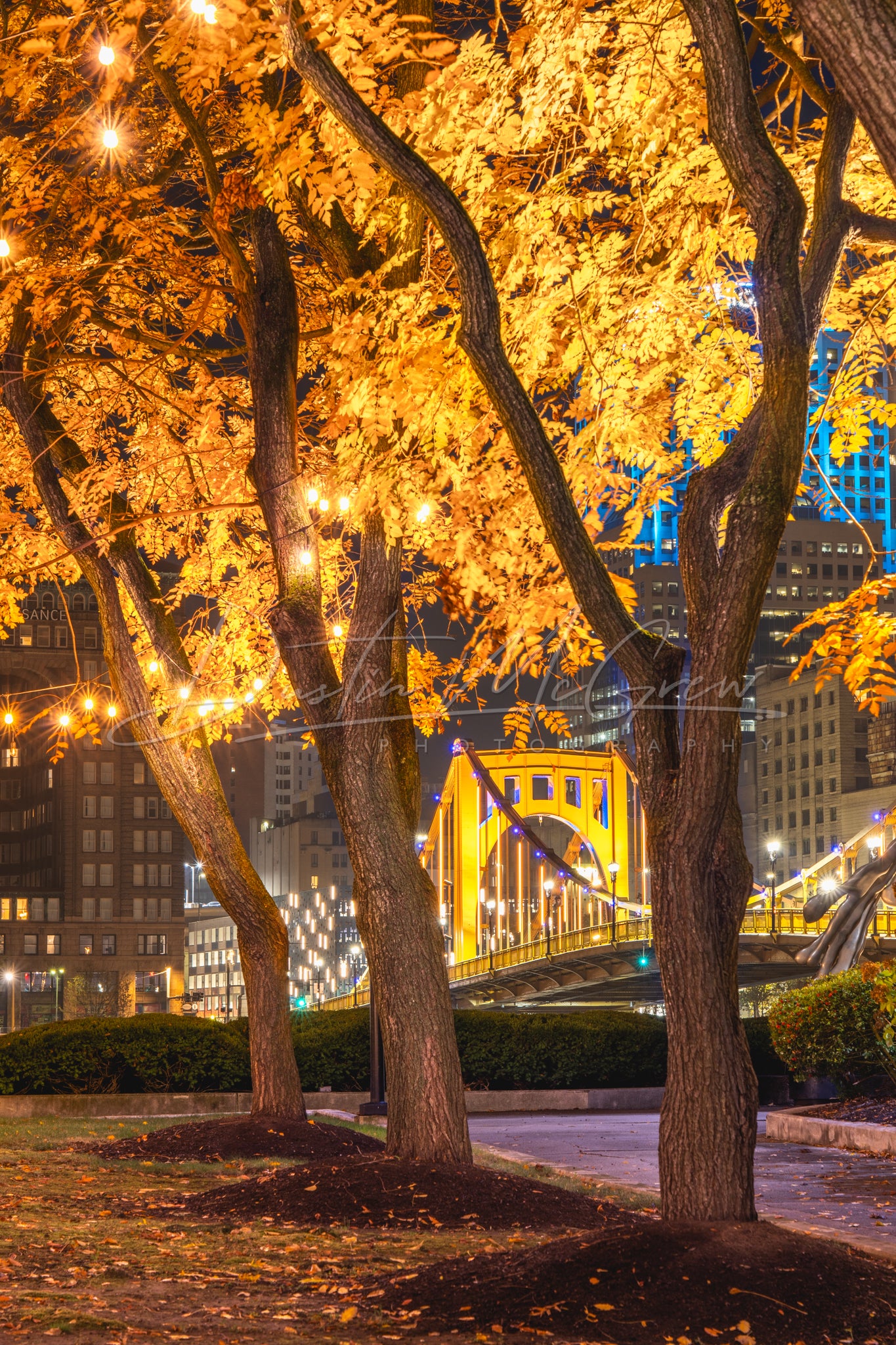 Allegheny Landing Fall Foliage and Clemente Bridge