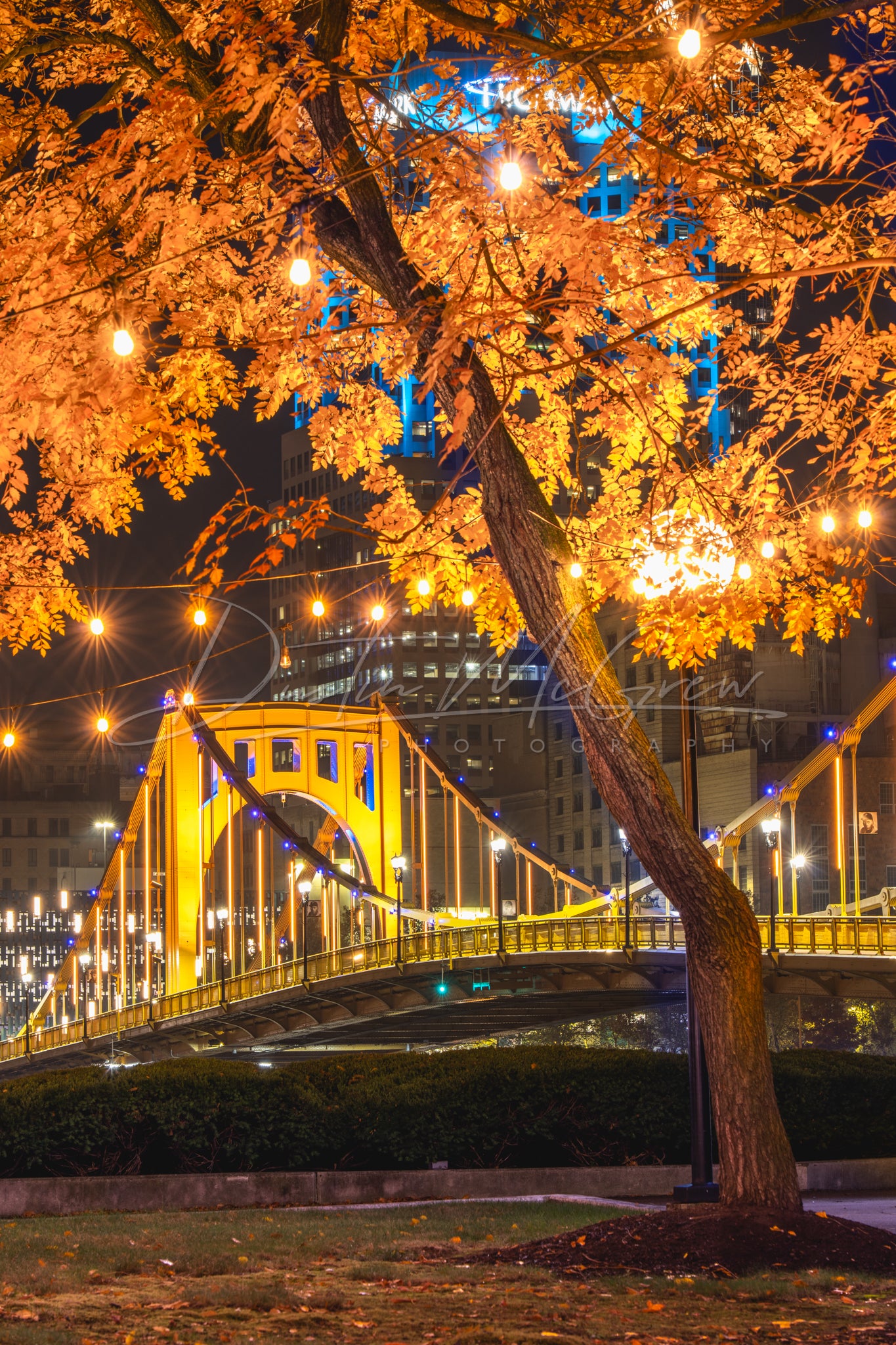 Allegheny Landing Fall Foliage and Clemente Bridge