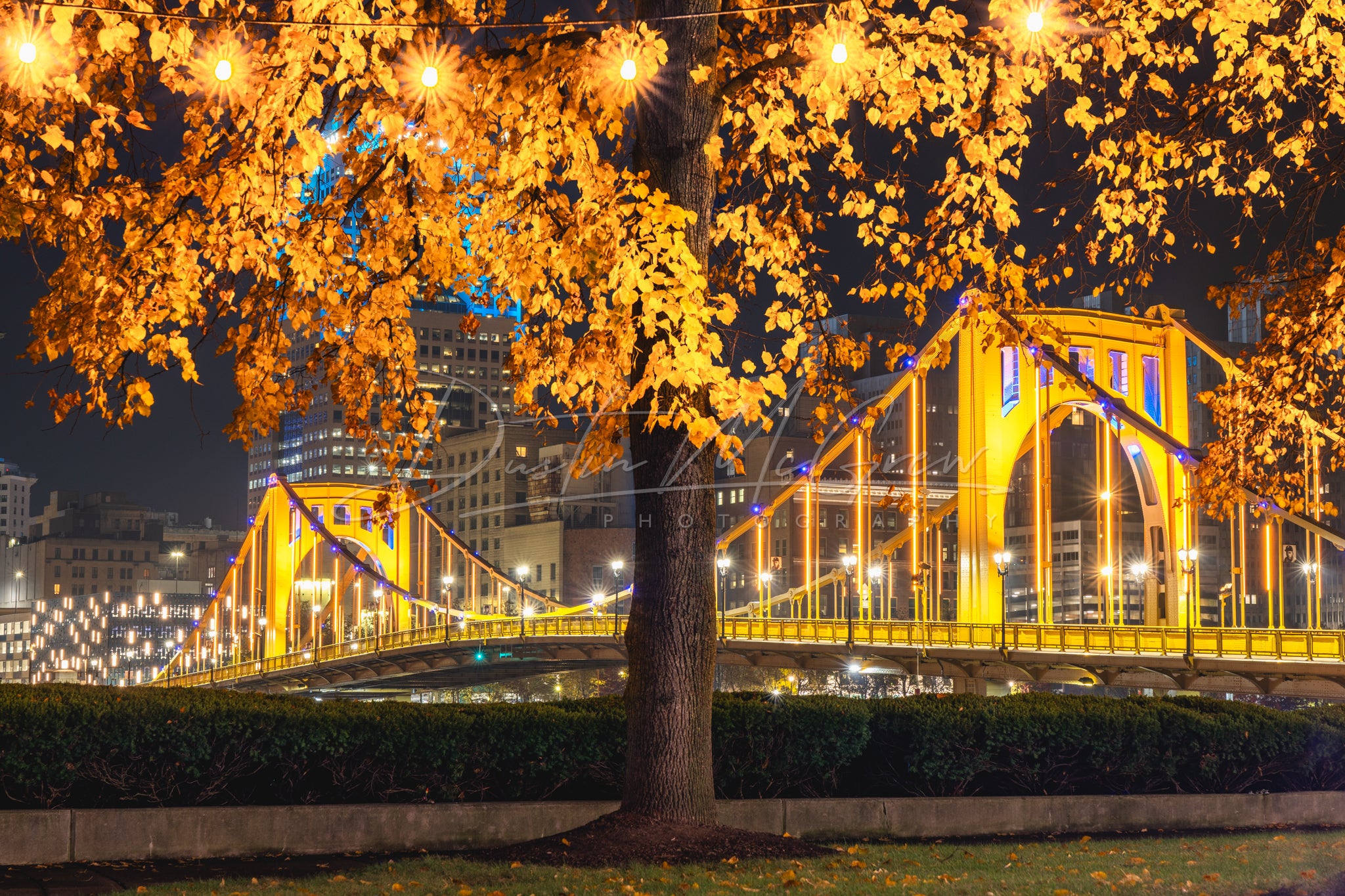 Allegheny Landing Fall Foliage and Clemente Bridge