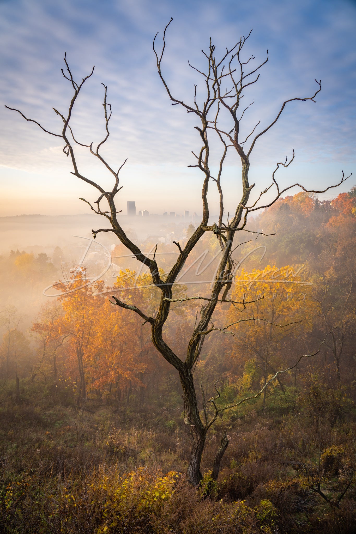 Peak Fall in Pittsburgh