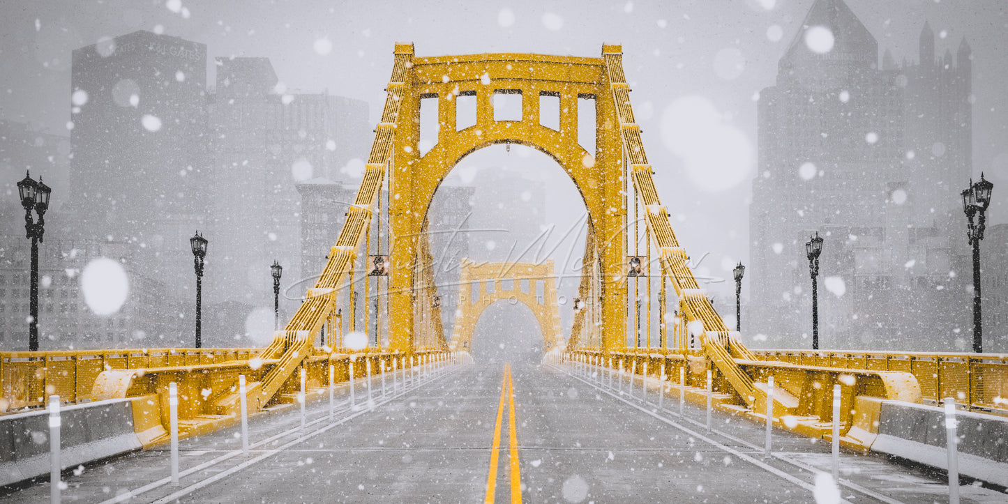 Black & Gold Snowy Roberto Clemente Bridge