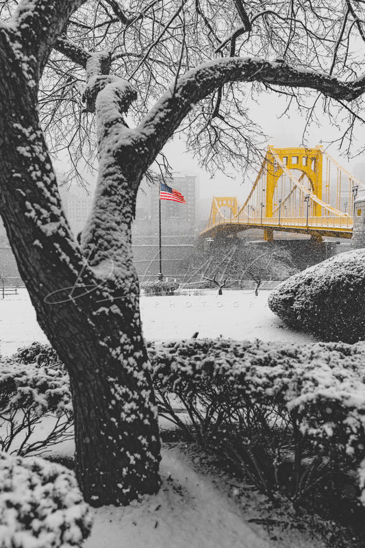 Snowy Tree Frames The Clemente Bridge and American Flag - Black & Gold