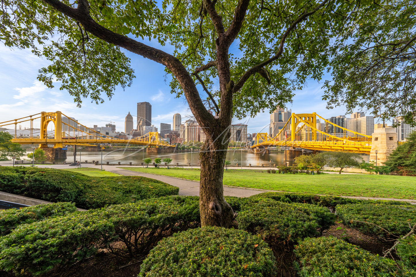 The Warhol and Clemente Bridges on the North Shore