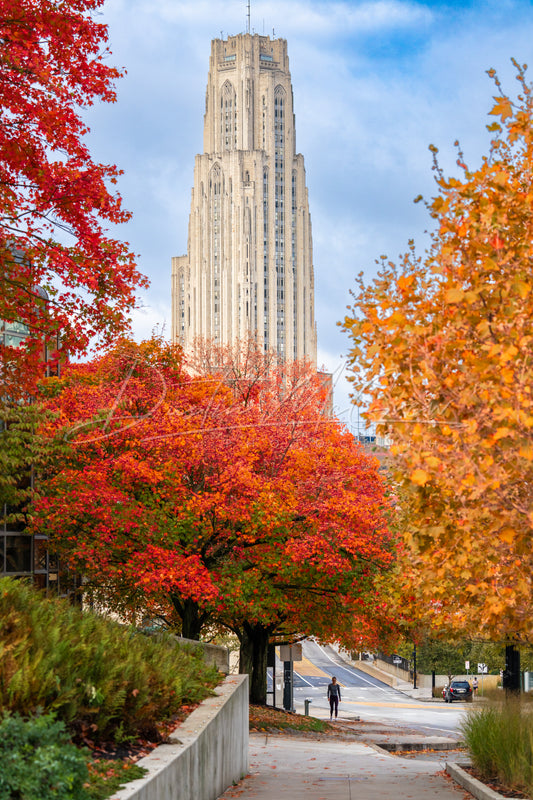 Colorful Fall Trees Frame the Cathedral of Learning