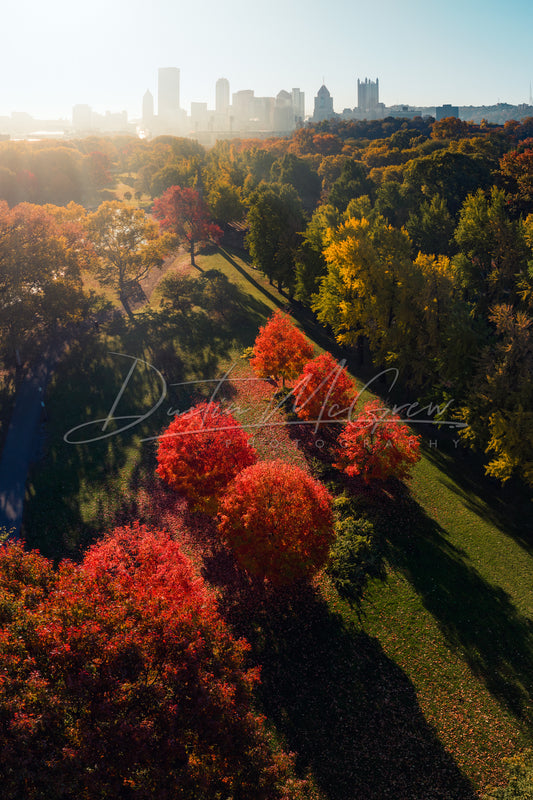 Vibrant Fall Foliage in Allegheny Commons Park