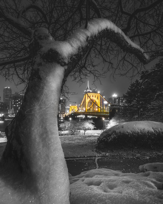 Black & Gold Photo of the Clemente Bridge Framed by Snow Covered Trees