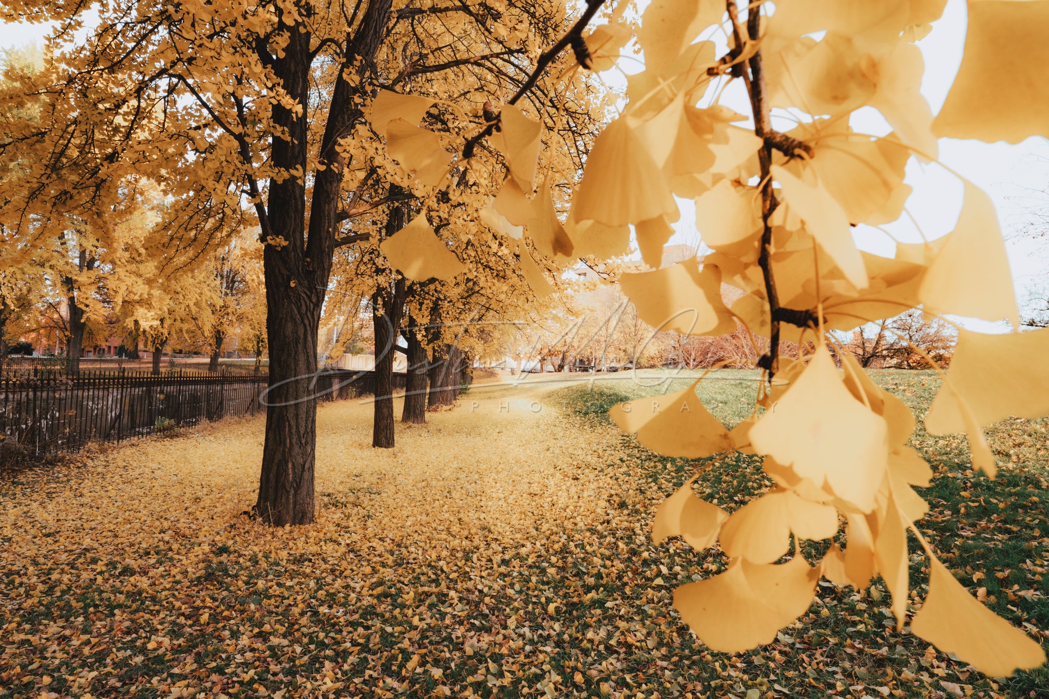 Photo of Allegheny Commons Park in Pittsburgh, PA