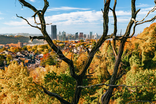 Old Tree Frames Pittsburgh and Troy Hill