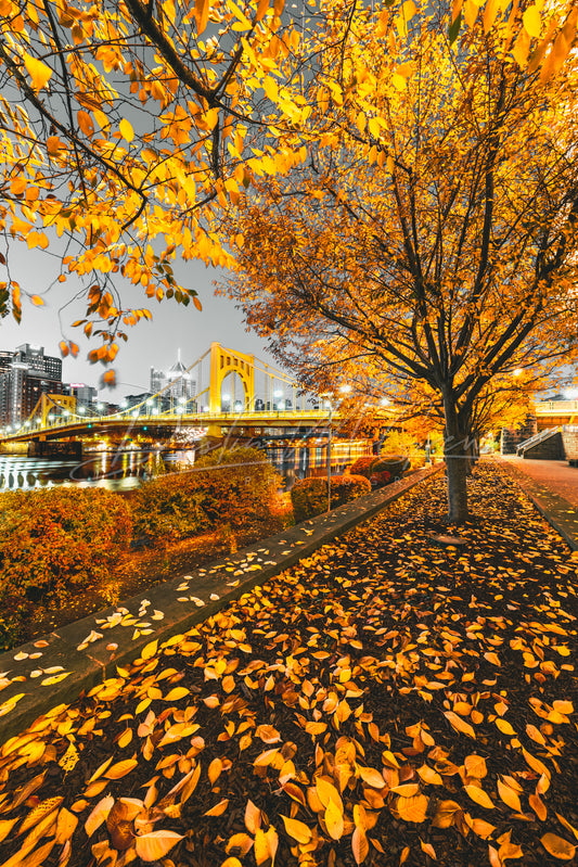 Black and Gold Leaves and the Warhol Bridge