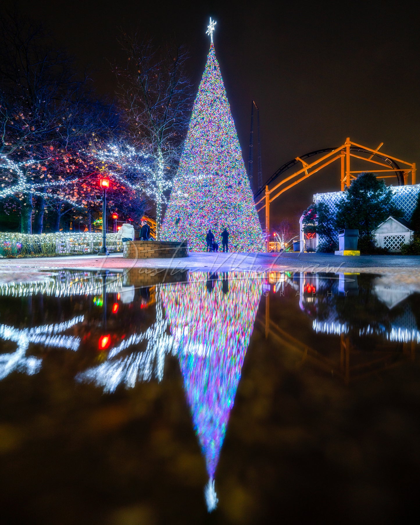 Kennywood Christmas Tree Reflection Photo
