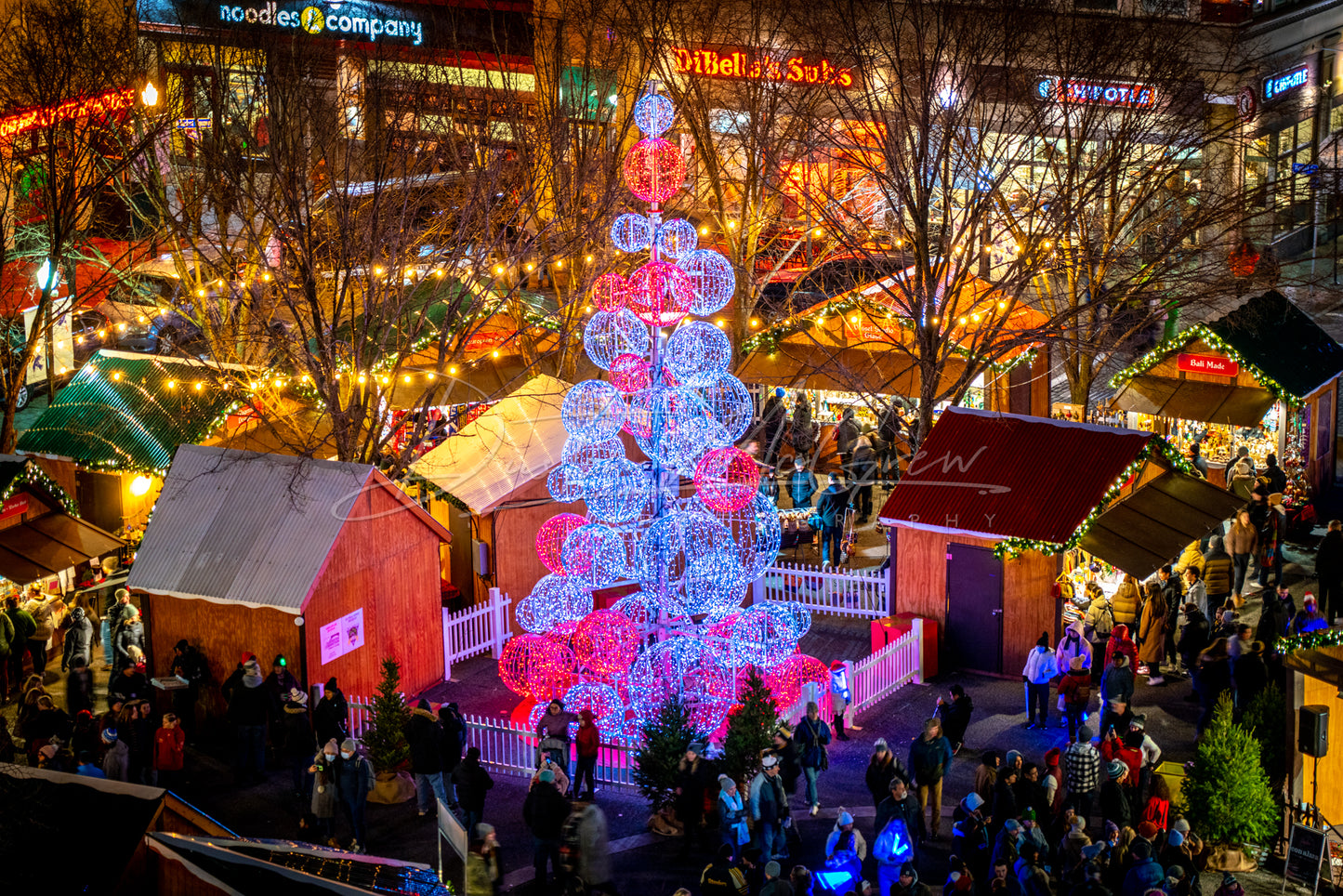 The Christmas Tree at Market Square