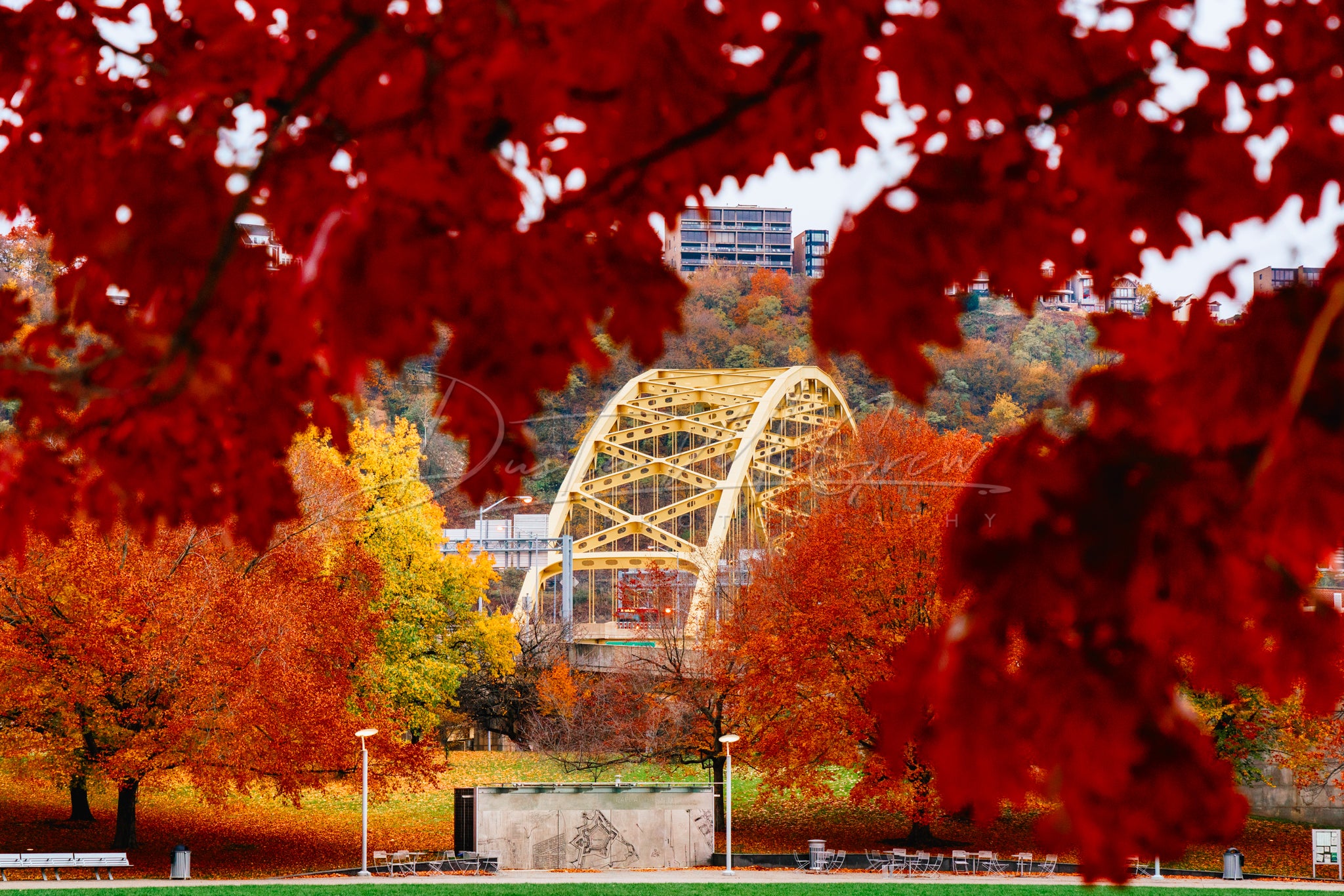 Leaves Frame the Fort Pitt Bridge in Pittsburgh