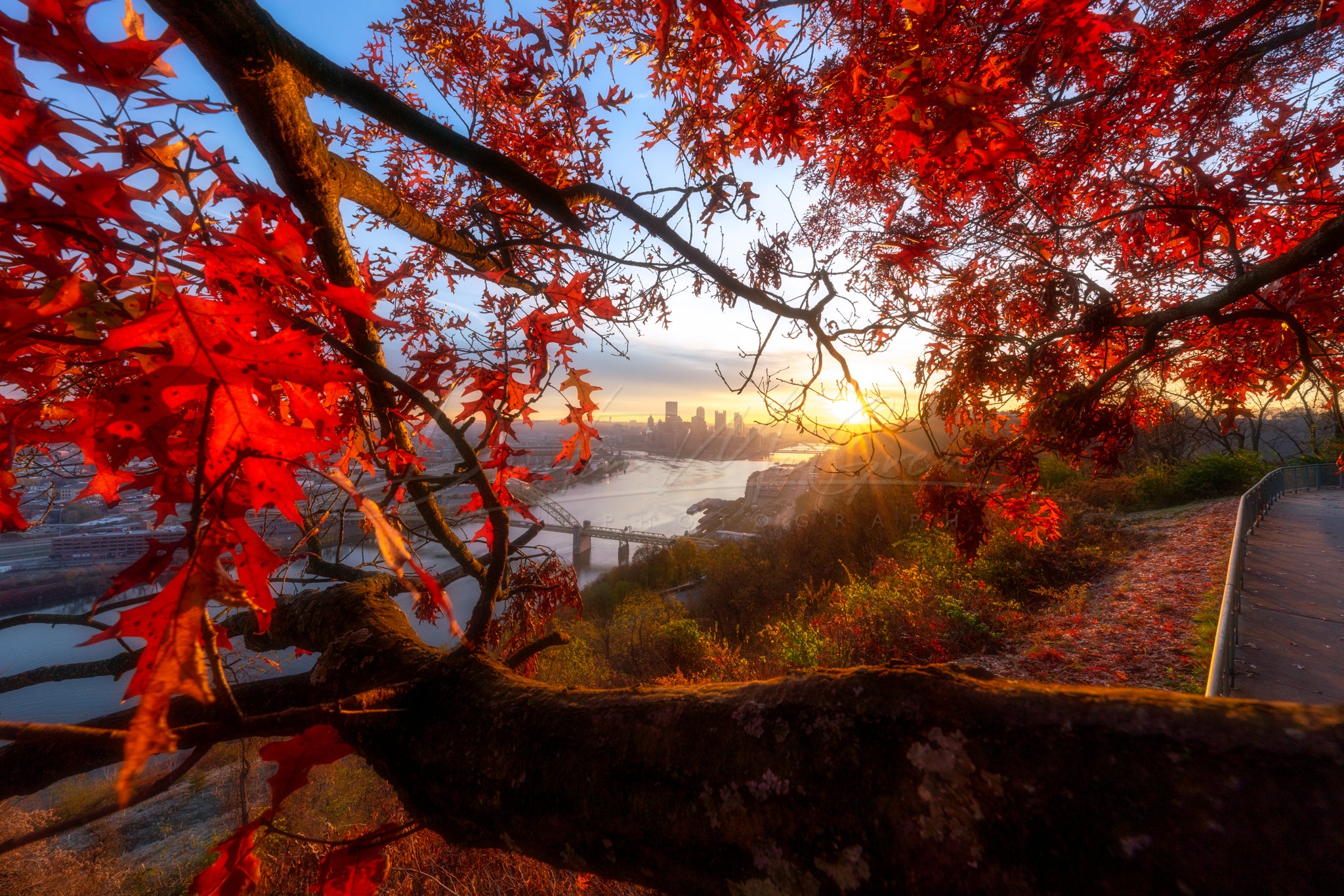Bright Red Leaves frame Downtown Pittsburgh