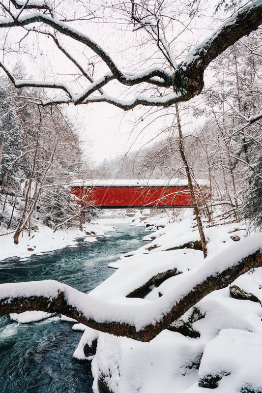 McConnells Mill Covered Bridge Framed by Trees