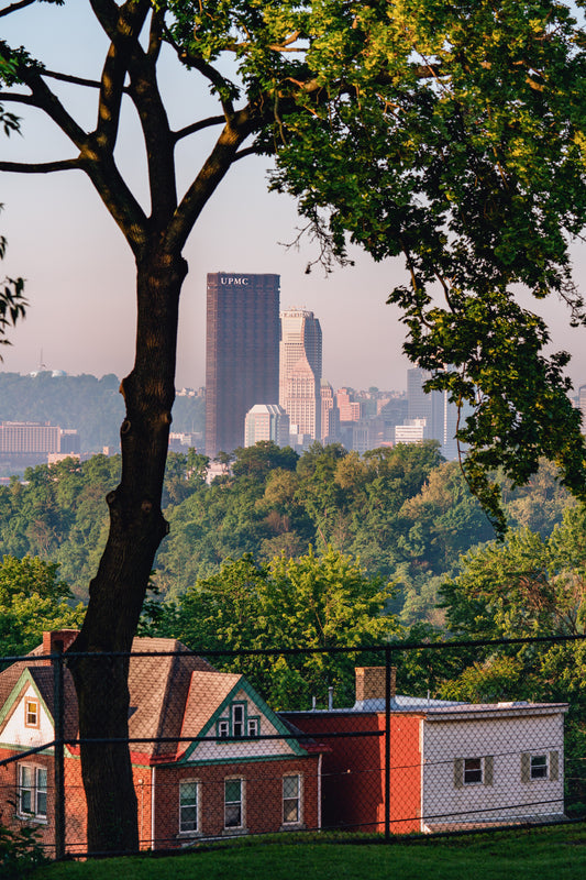 Pittsburgh Skyline Framed by a Tree