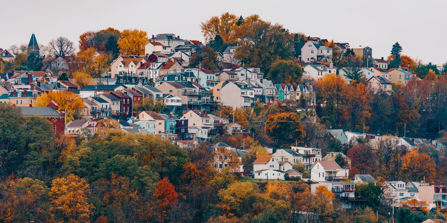 South Side Slopes in the Fall Panorama