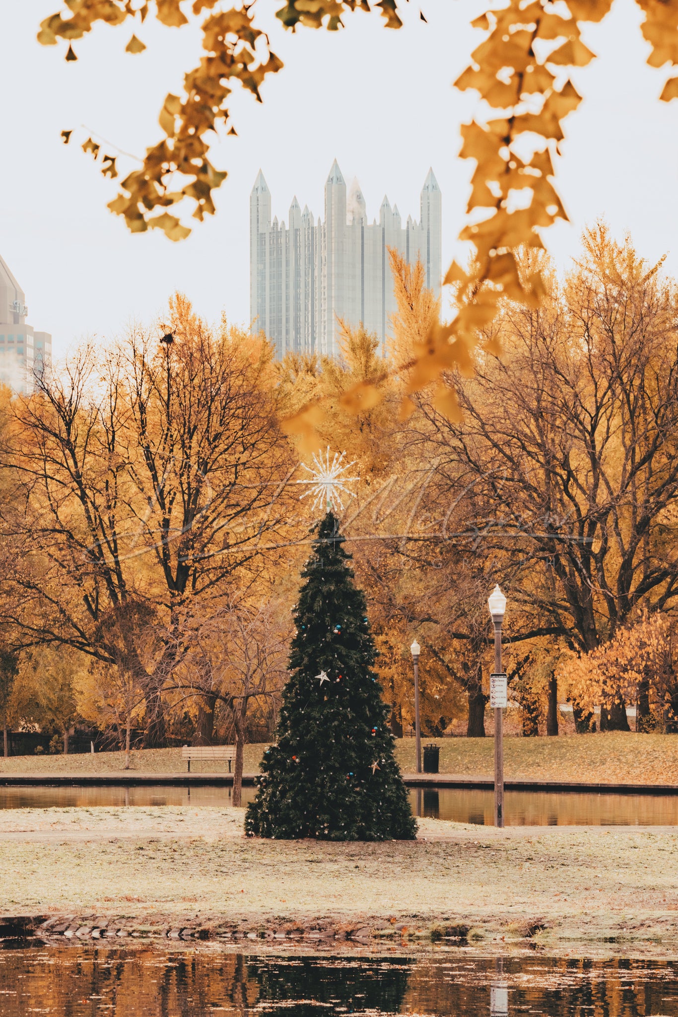 Allegheny Commons Park Christmas Tree and PPG Place Photo
