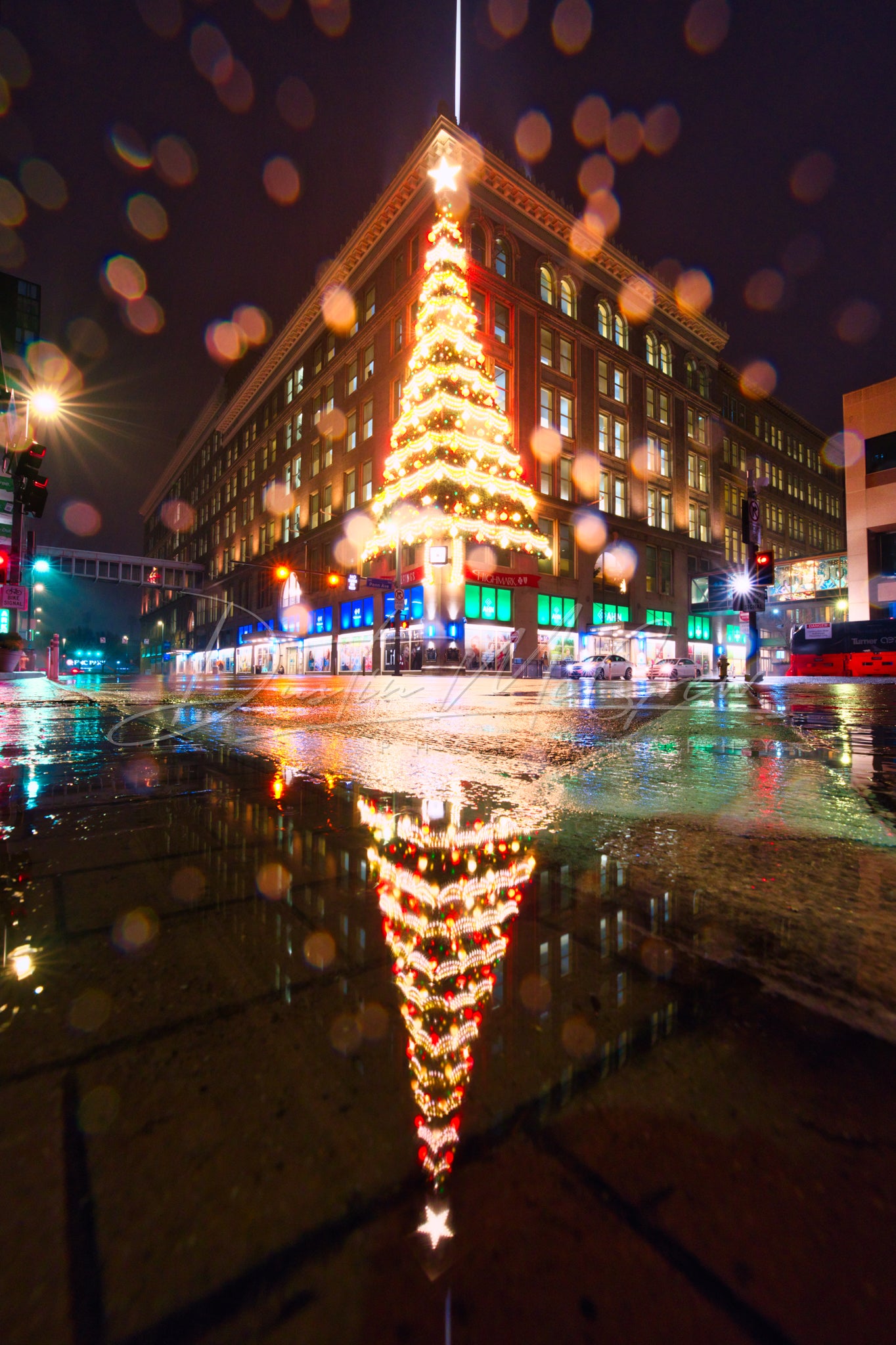 The Magical Hornes Christmas Tree