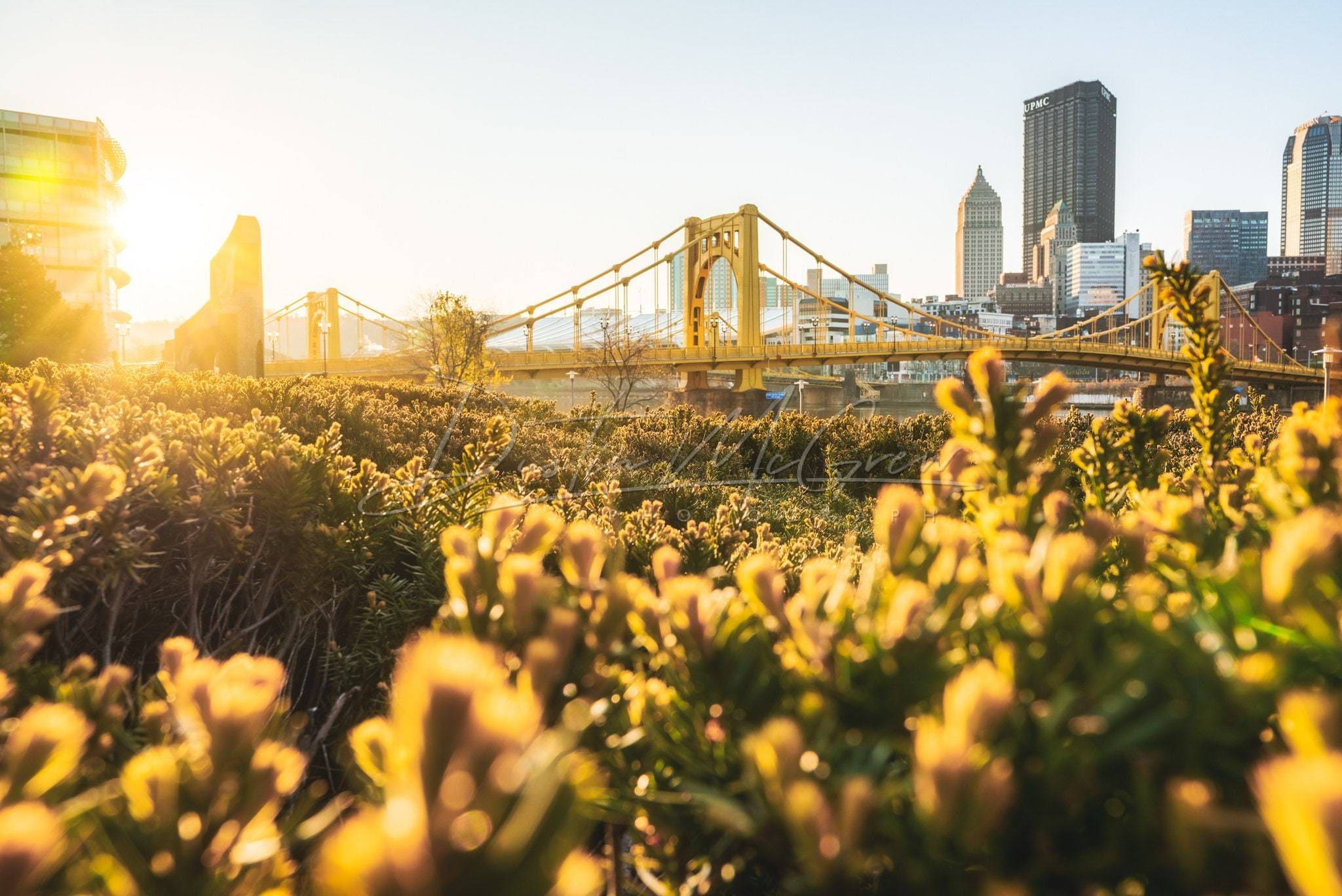Pittsburgh Spring Sunlight Photo Picture Photography