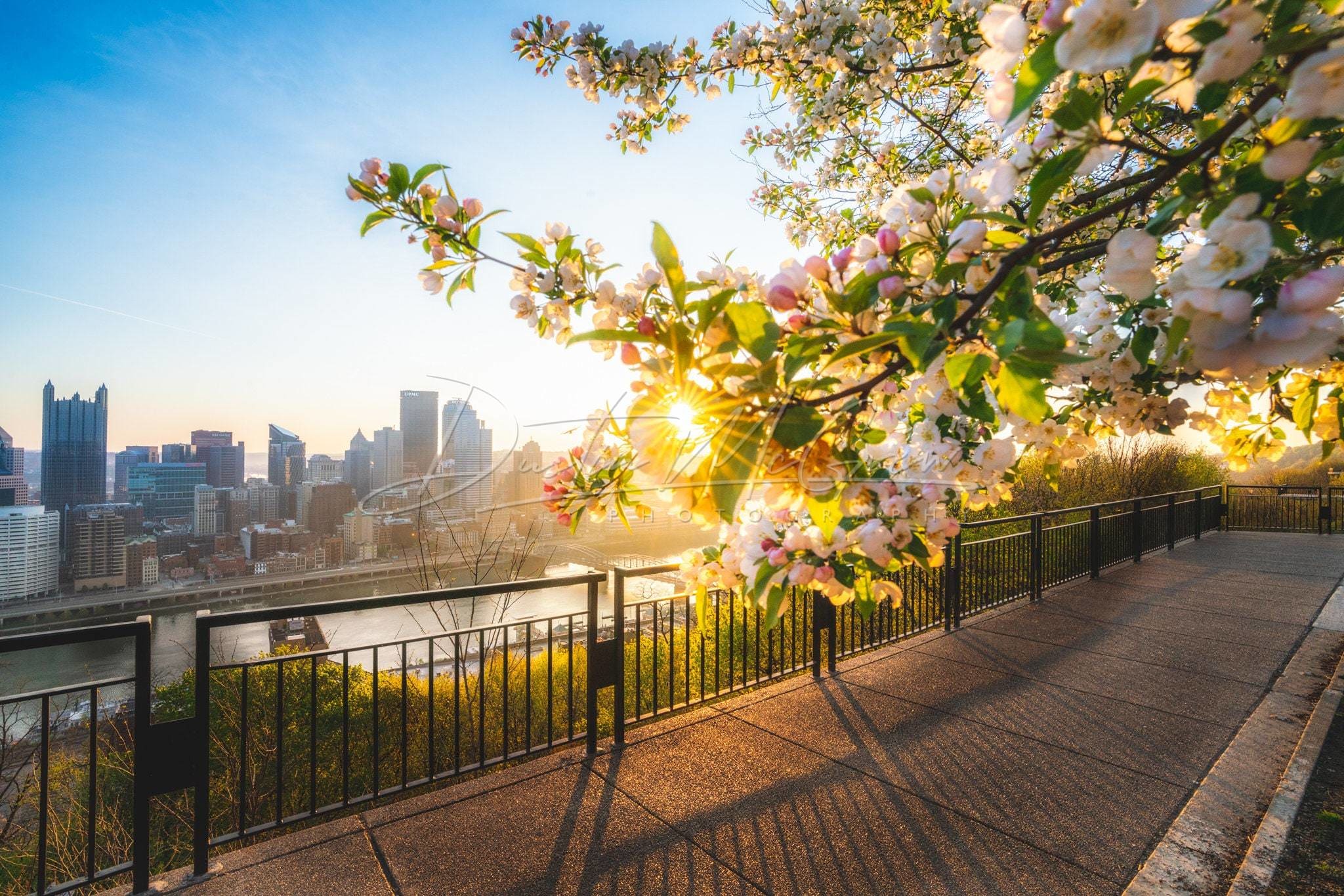 Spring In Pittsburgh Pittsburgh Skyline on a Clear Spring Day – Dustin McGrew Photography
