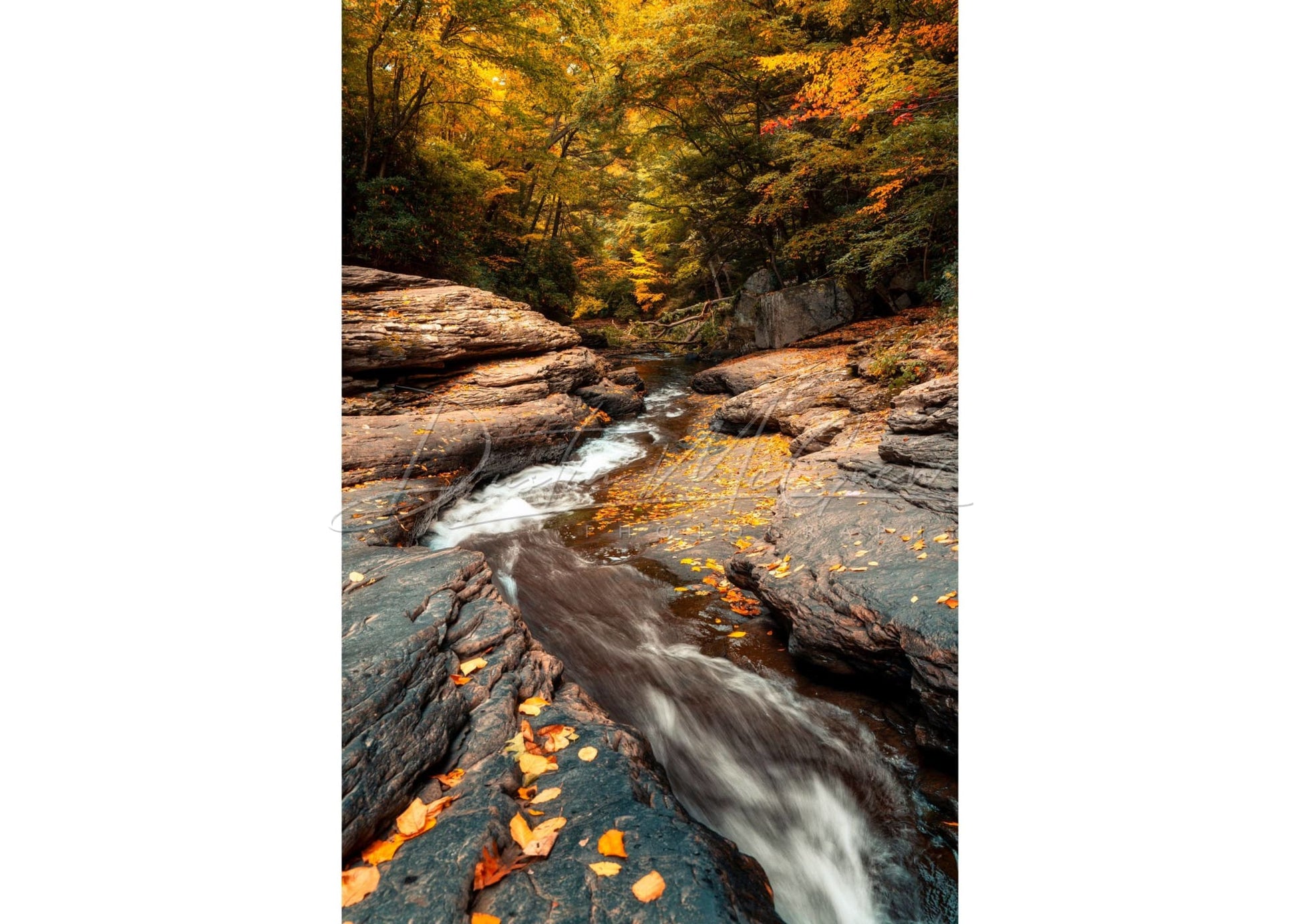Ohiopyle Natural Waterslides Photo Print - Fall Autumn Photography Artwork