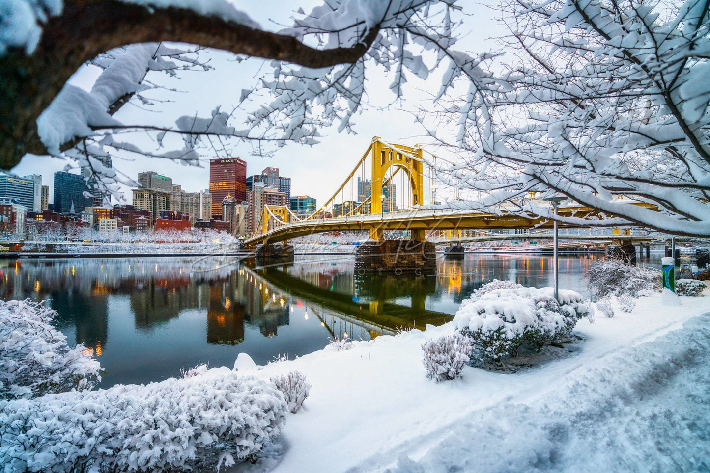 Pittsburgh Photo - Snow-Covered Trees And The Andy Warhol Bridge Art Photography