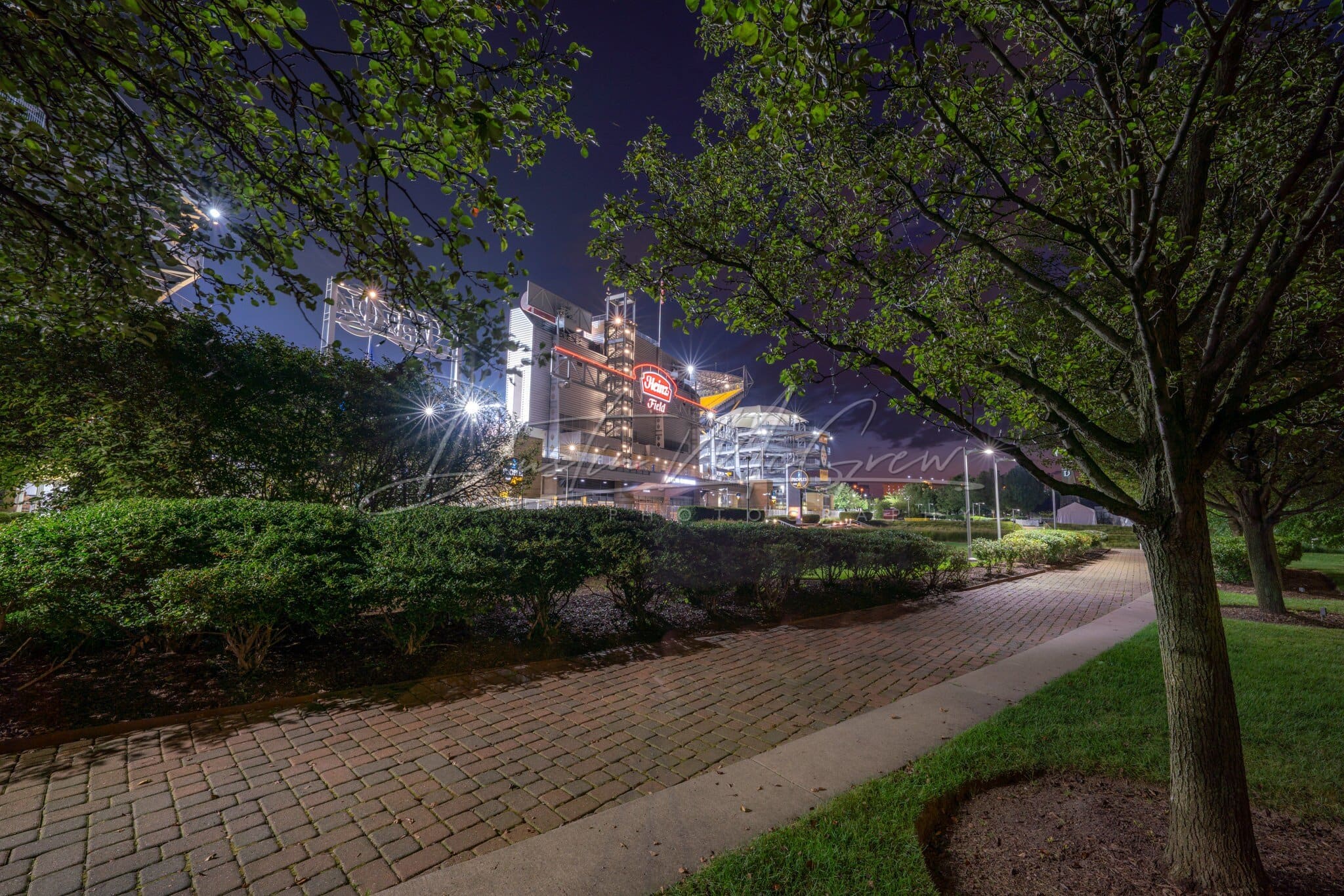Heinz Field Photo - Framed By Trees Pittsburgh Steelers Prints