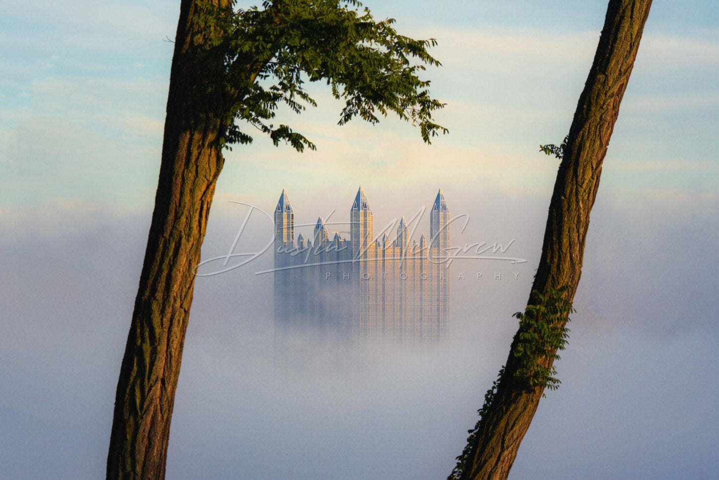 Pittsburgh Photo - Ppg Place In Fog And Framed By Trees Art Metal Prints